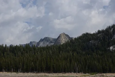 DSC_2981 (Large).JPG